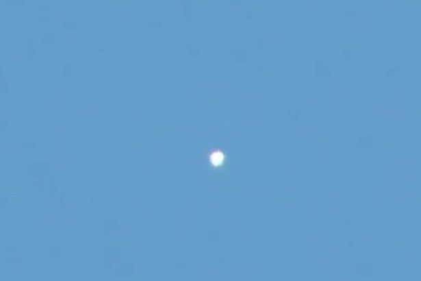 Mexican Orb